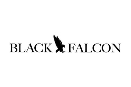 Sean Edwards Foundation working in collaboration with Black Falcon
